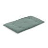 Blue corn 19