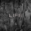 Life - Leather