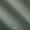 LIFE - Oliva 1822
